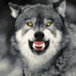 Meet your Posher, Greg